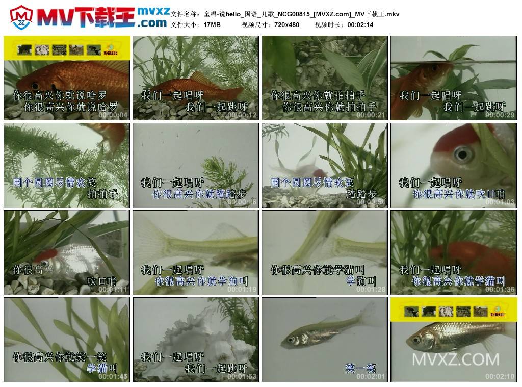 童唱-说hello_国语_儿歌_NCG00815